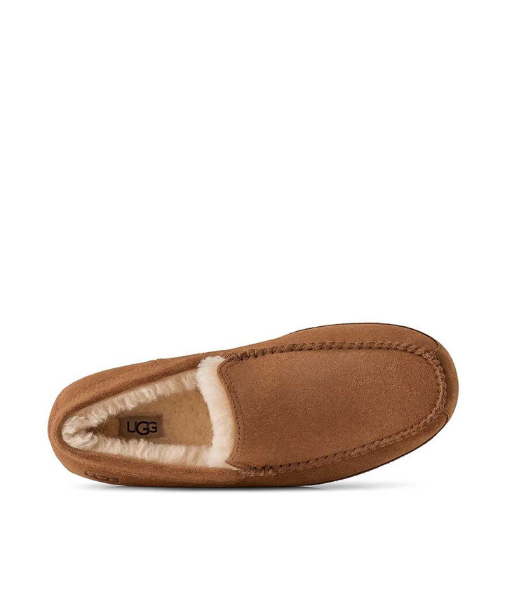 Men's UGG Linscot Slipper – Chestnut – view 4